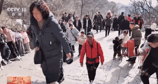 能搭配基础, https