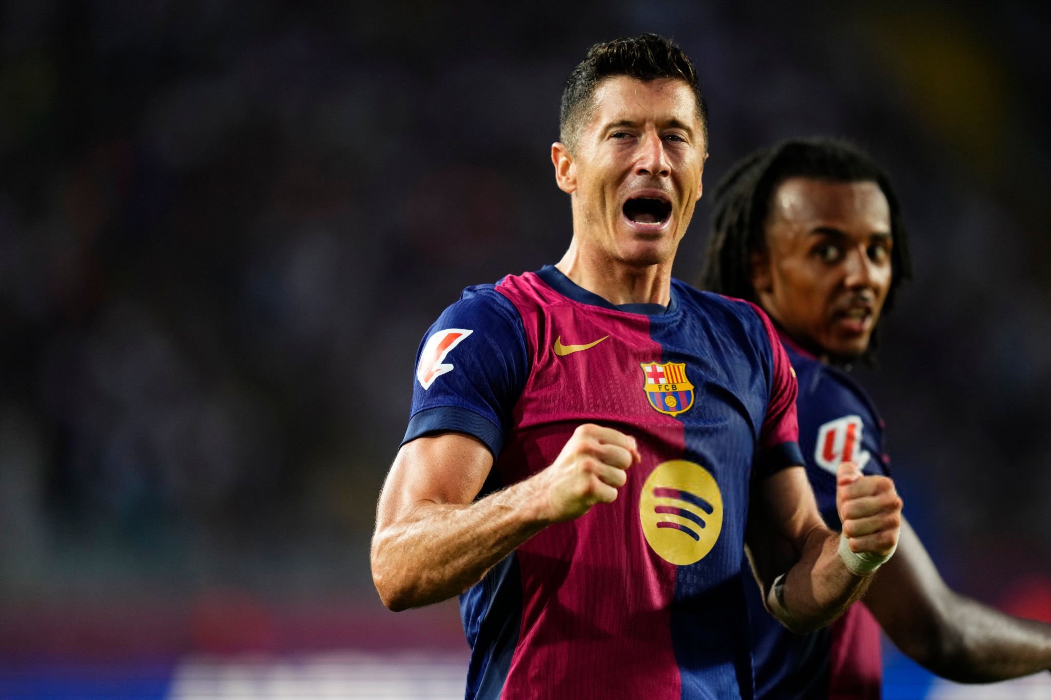 img, 罗那, 的相关说法